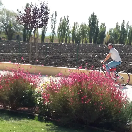 伊尔博德莱迪弗朗切斯科公寓 公寓 *