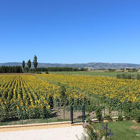 Lägenhet Il Podere Di Francesco