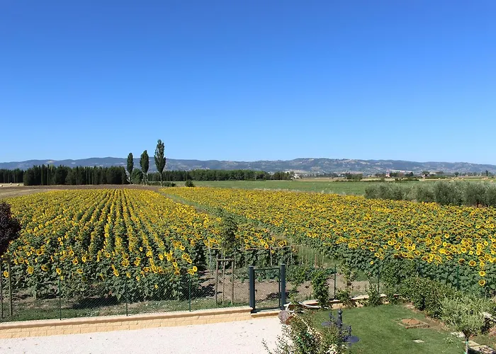 Apartamento Il Podere Di Francesco